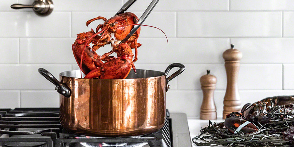  Best Maine Lobster 