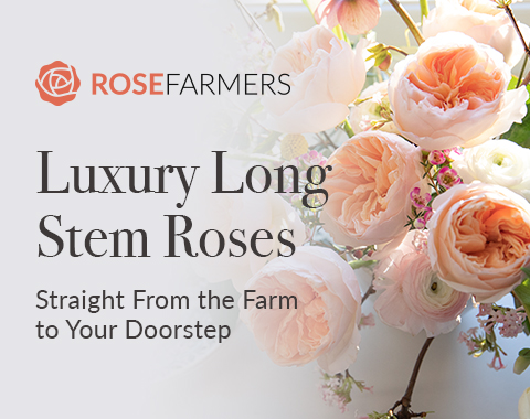 Rose Farmers 