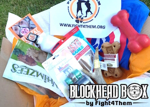 Blockhead Box by Fight4Them