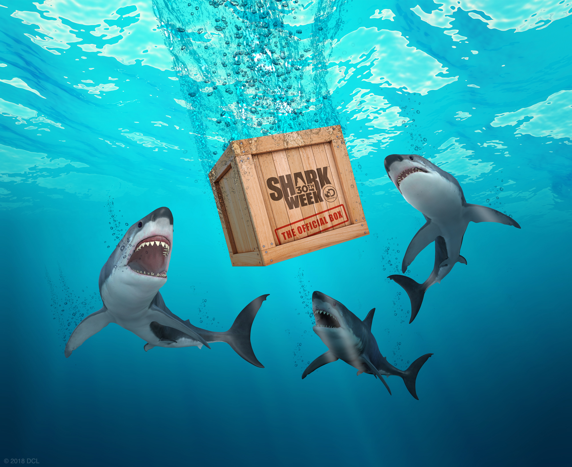 The Shark Week Box