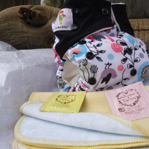 Cloth Diaper Monthly