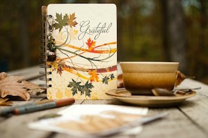 Holly Journals