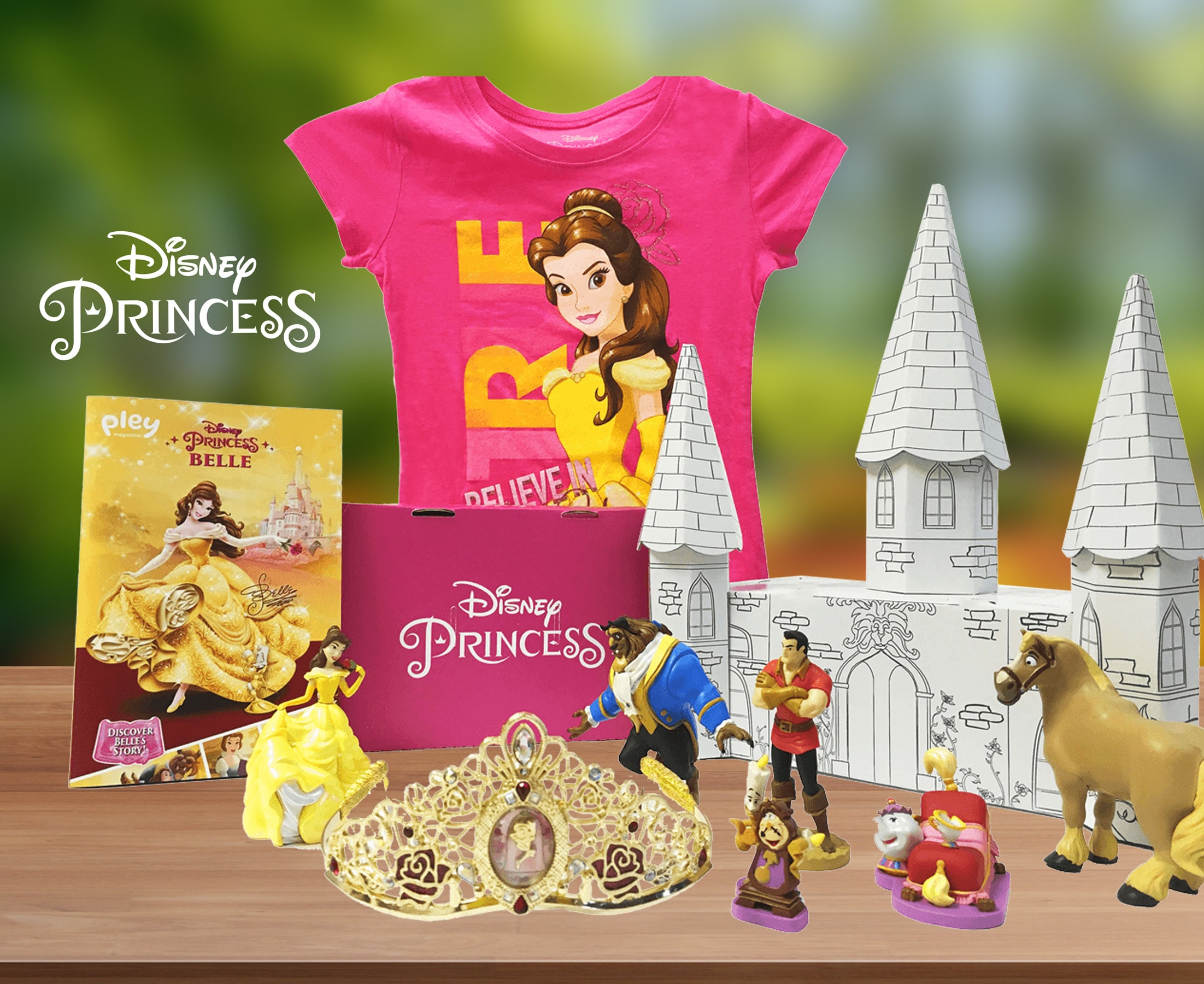 Disney Princess PleyBox