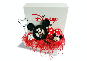 Disney in a Box: Wishes Monthly Subscription Box