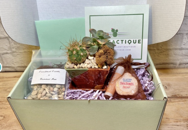 The Cactique Botique Box